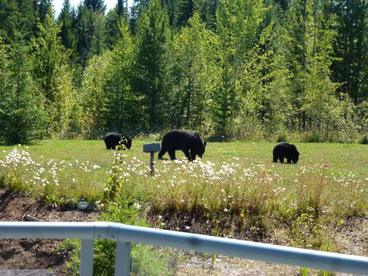 Little Black Bear Lodge/B&B Bridge Lake Экстерьер фото